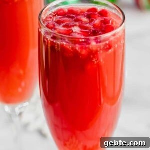 Sparkling Christmas Mimosa Recipe: Festive Holiday Brunch Cocktail 5 Christmas Mimosas thumbnail