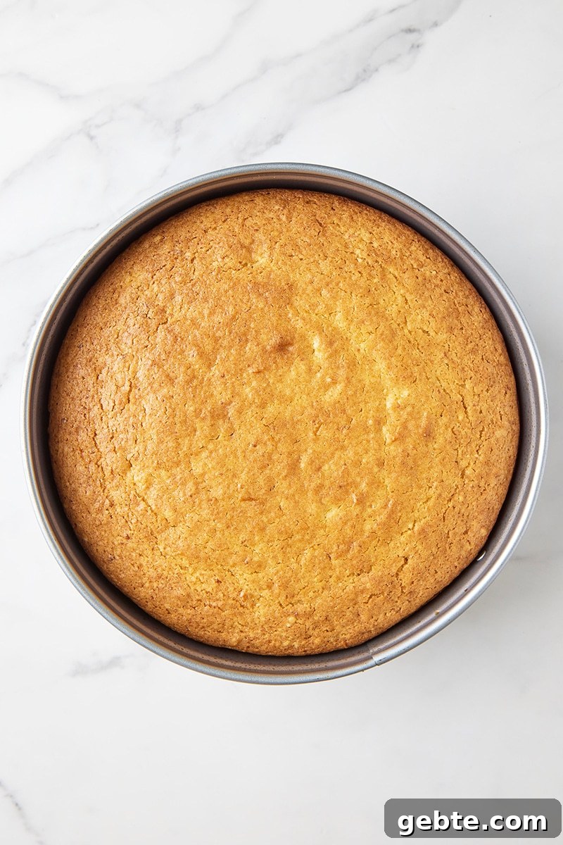 Baked lemon olive oil cake in pan
