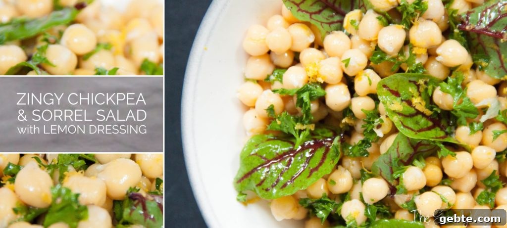 Zingy Chickpea & Sorrel Salad Recipe with Lemon Dressing 4 Zingy Chickpea and Sorrel Salad