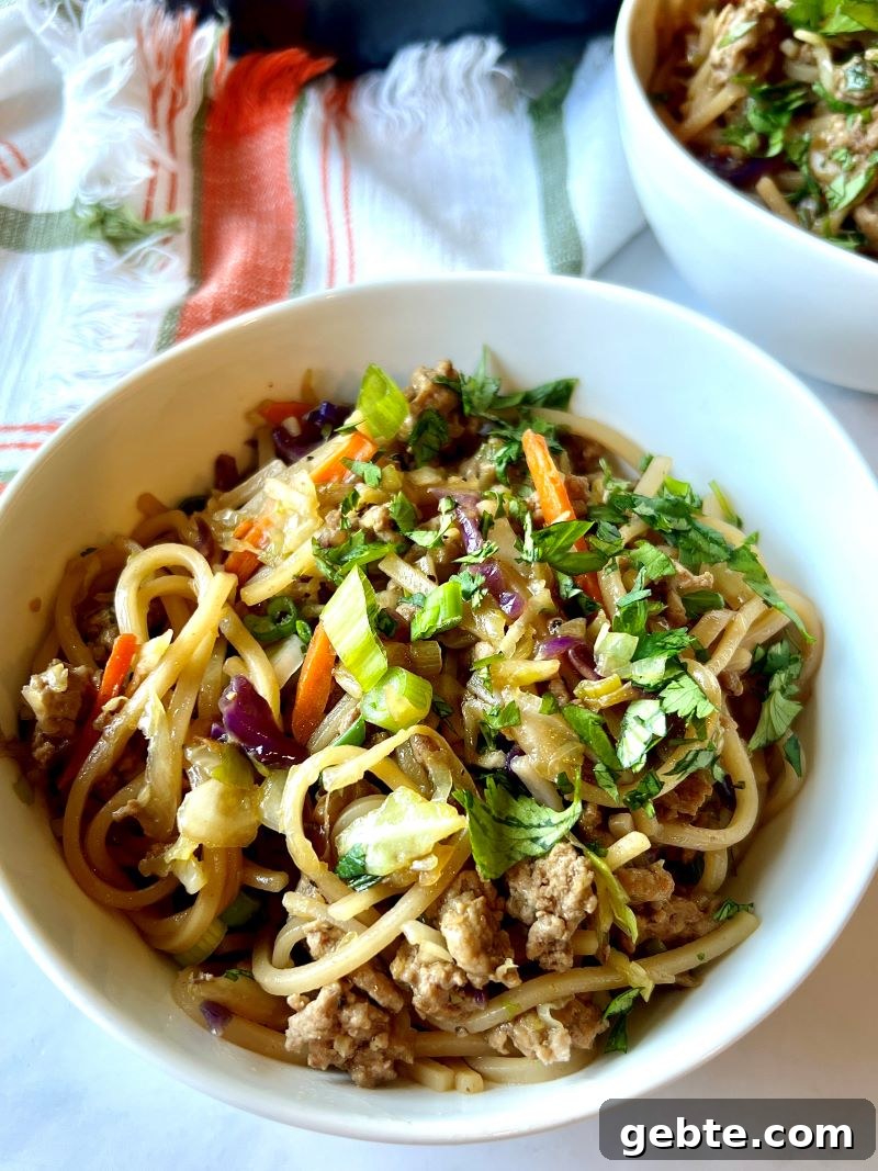 Finished potsticker noodle bowl