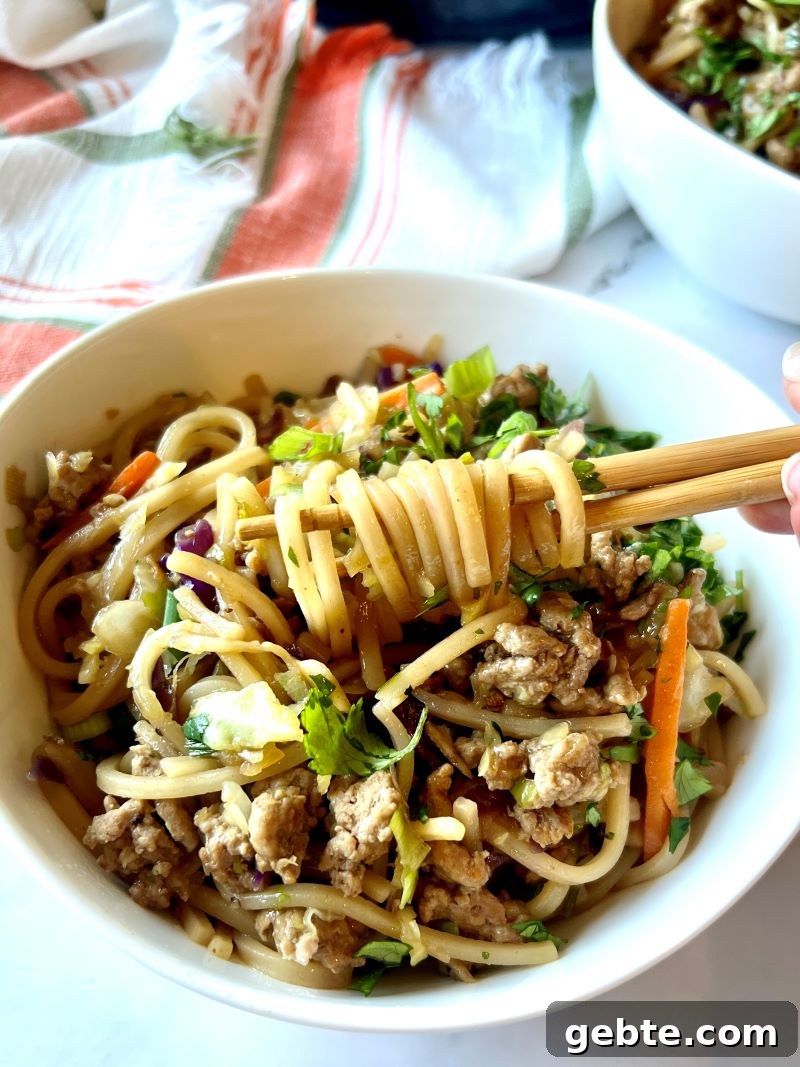 Potsticker Noodle Bowls thumbnail