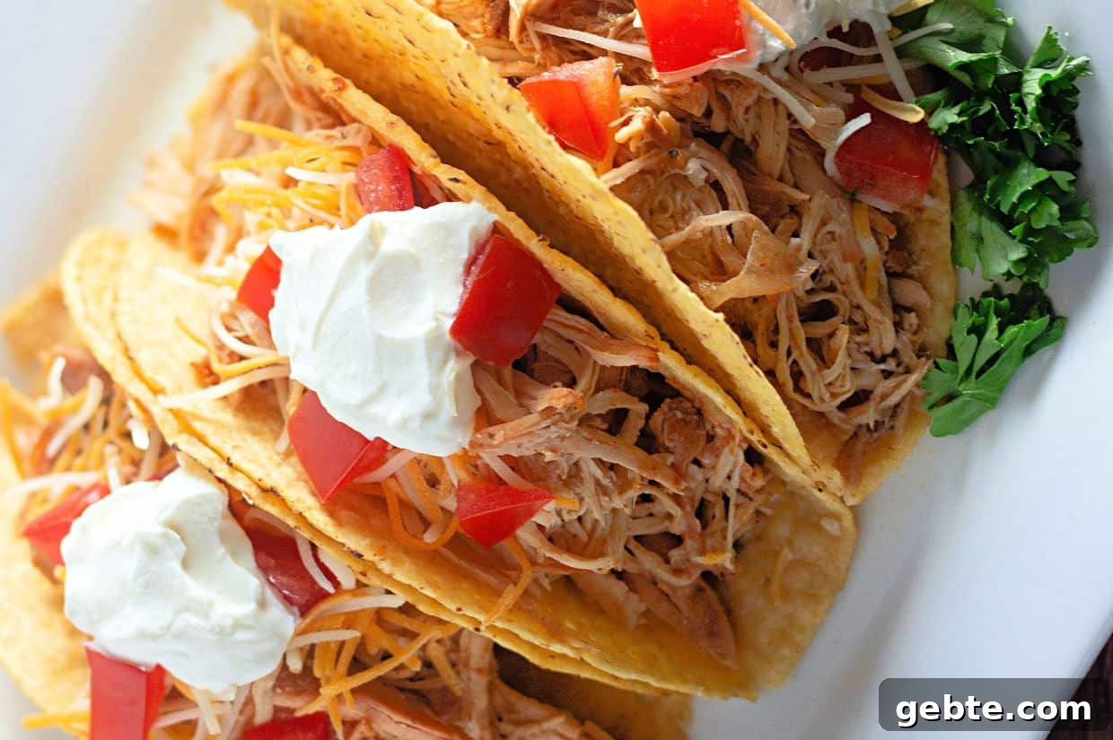 31 Slow Cooker Recipes to Walk In and Find Dinner Waiting 7 Three hard shell tacos filled with shredded slow-cooked chicken, cheese, diced tomatoes, and topped with sour cream, served on a white plate with a garnish of fresh parsley.