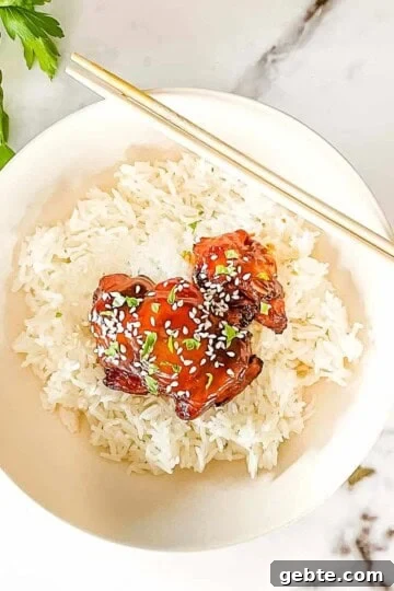 An overhead view of the air fryer teriyaki chicken thigh on a bed of white rice, garnished with sesame seeds.