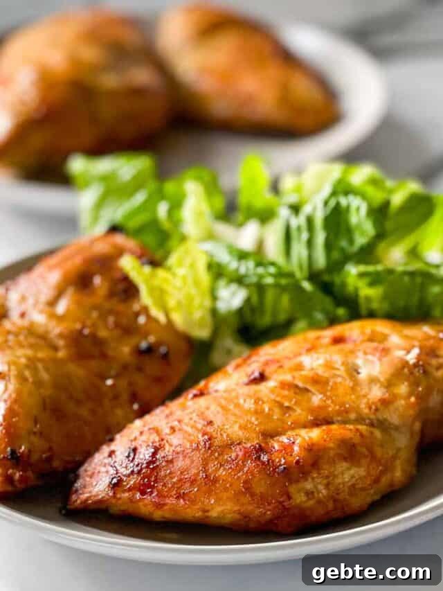 Juicy chicken breasts on a plate with a green salad.