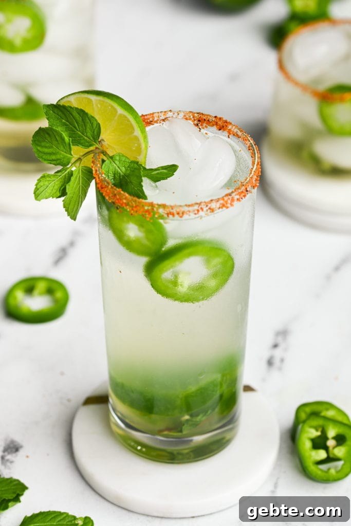 spicy mojito in a highball glass with tajin rim and green garnish