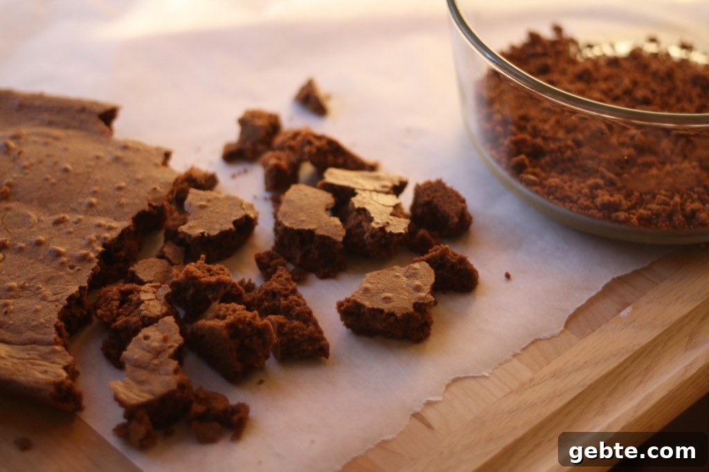 brownie crumbs img 2101 3