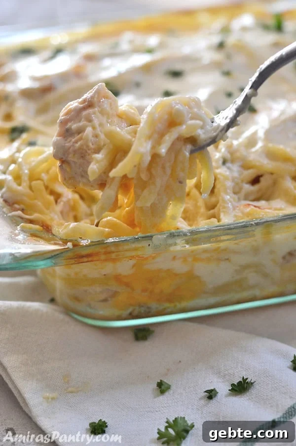 A close up of a pan of food, with cheese chicken tetrazini