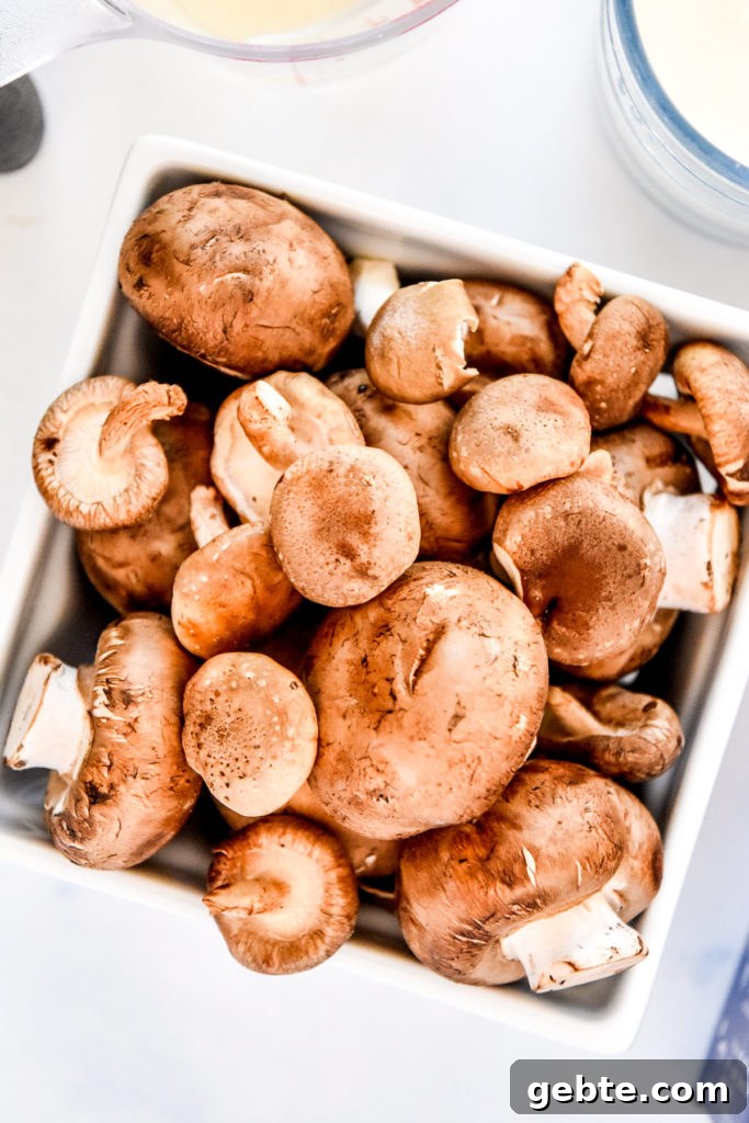 cremini and oyster mushrooms in a white pin dish.