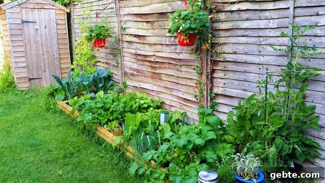 How to Sow Vegetable and Flower Seeds for a Thriving Garden 2 img 357 1