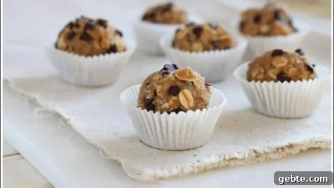 Oatmeal Cookie Dough Bites