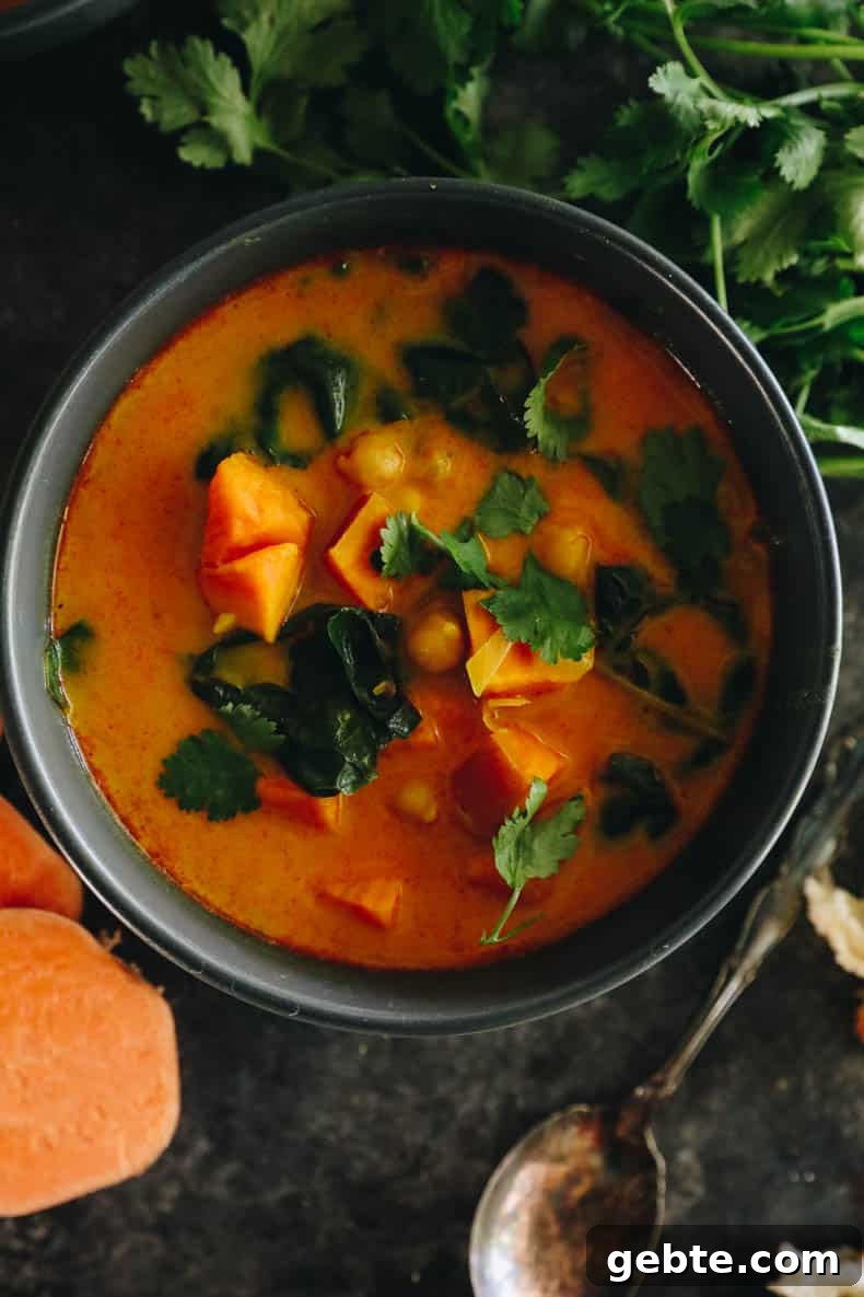 Creamy Curried Sweet Potato Soup Recipe for Cozy Dinners 7 img 57703 6