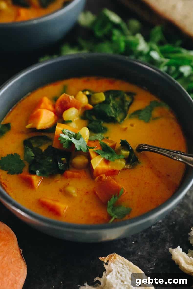 Creamy Curried Sweet Potato Soup Recipe for Cozy Dinners 8 img 57703 7