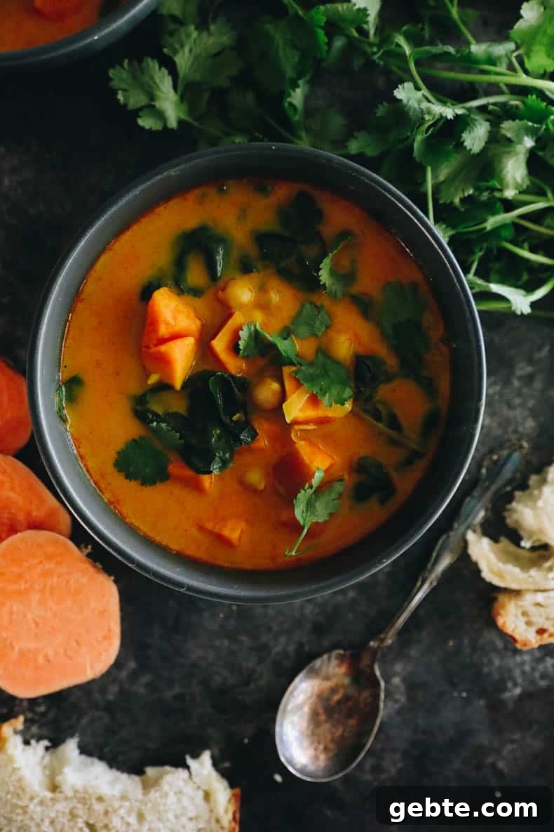 Creamy Curried Sweet Potato Soup Recipe for Cozy Dinners 10 img 57703 9