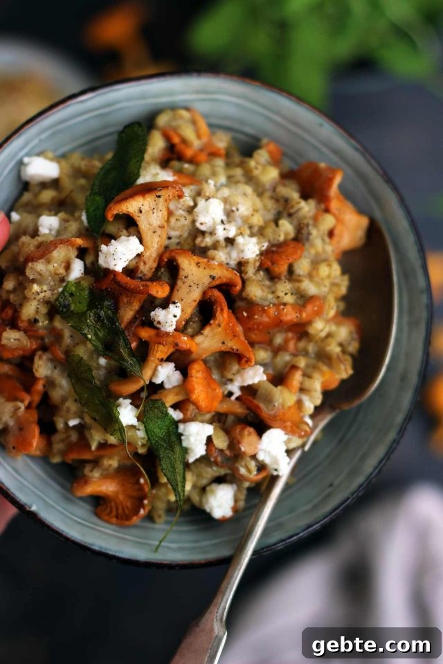 Easy Barley Risotto with Mushroom and Goat Cheese in a Bowl Flatlay Closup with a Spoon in the Bowl