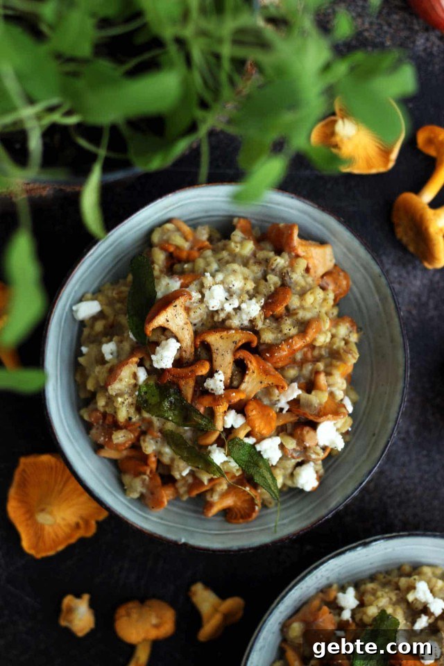 Easy Barley Risotto with Mushroom and Goat Cheese in a Bowl Flatlay with Greensin the Foreground and Raw Chanterelles Lying Around