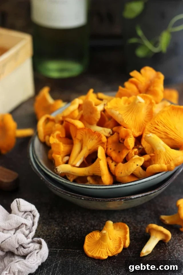 Easy Barley Risotto with Mushroom and Goat Cheese - Beautiful Flavorful Raw Chanterelles