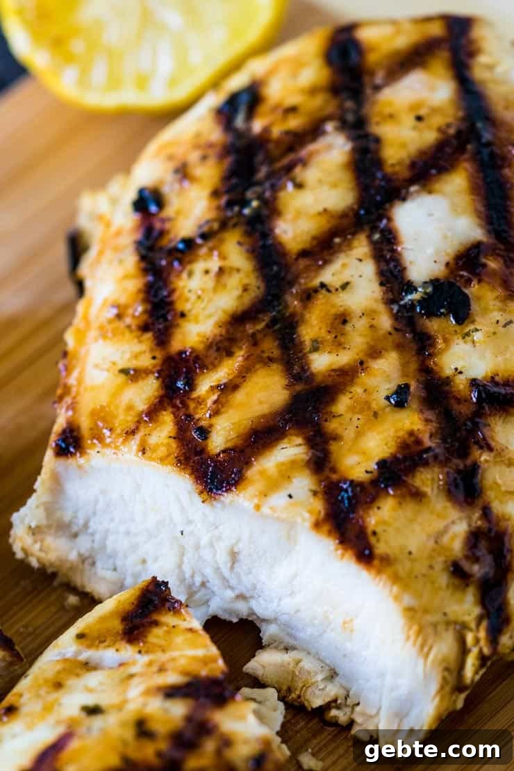 Close up of garlic ranch grilled chicken