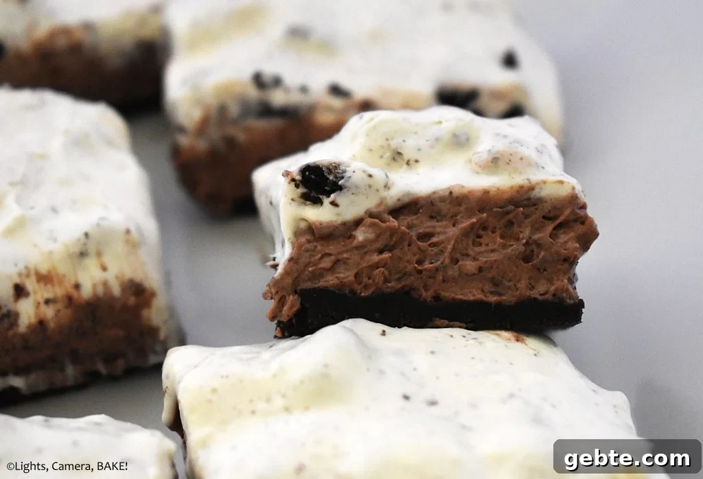 Nutella Cookies and Cream Cheesecake Recipe 3 Nutella cookies and cream cheesecake on a white plate.