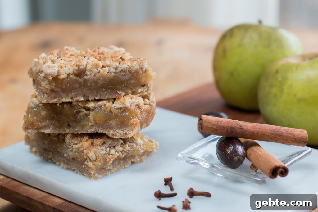 Applesauce Linzer Bars
