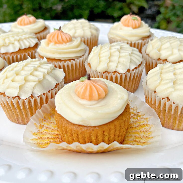 Pumpkin Cupcakes