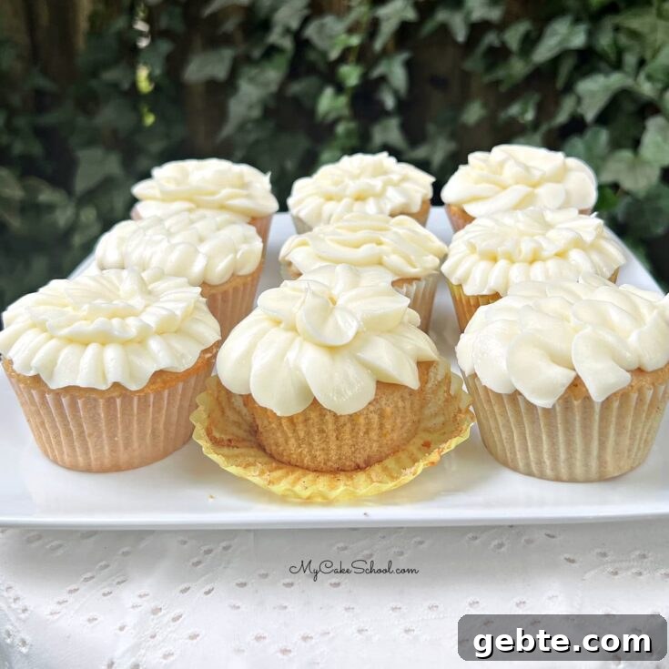 Spice Cupcakes
