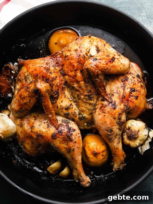 Garlic Herb Roasted Chicken