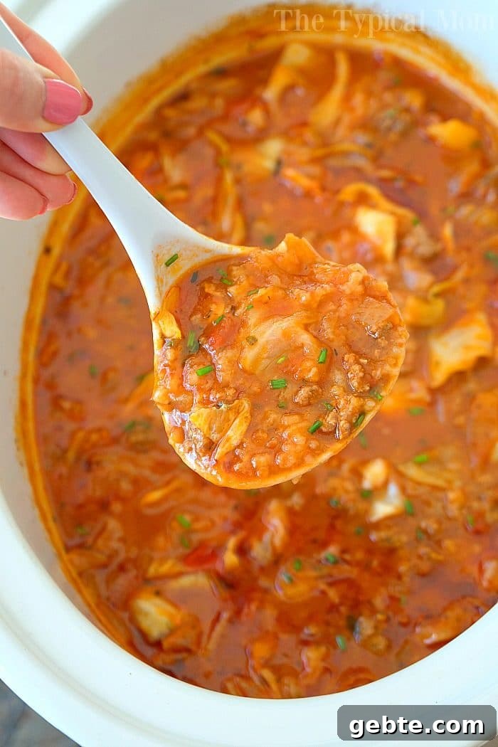 Cabbage roll soup