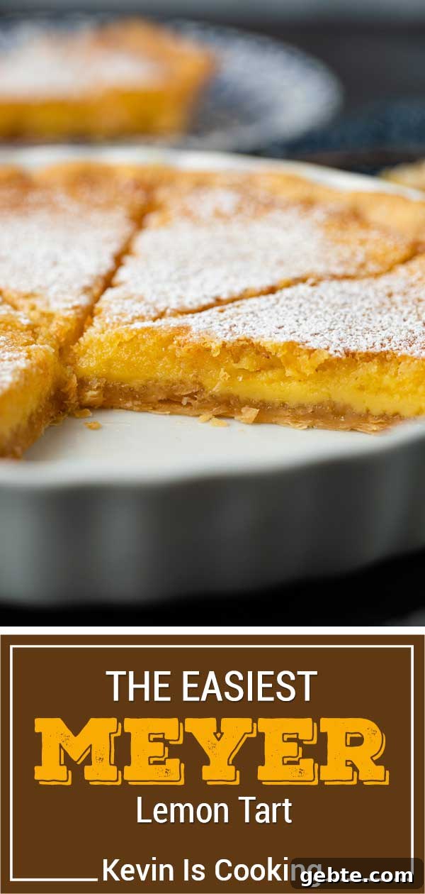 THE easiest lemon tart around. Lazy Mary's Lemon Tart uses an entire Meyer lemon and all the ingredients, besides the tart shell, get mixed in a blender. Smooth, fragrant and delicious! titled image (and shown) the easiest meyer lemon tart