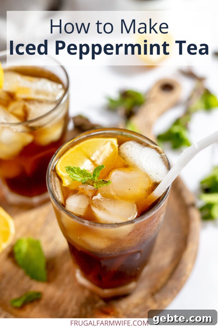 Refreshing Iced Peppermint Tea Recipe 2 how to make iced peppermint tea for a refreshing summer drink