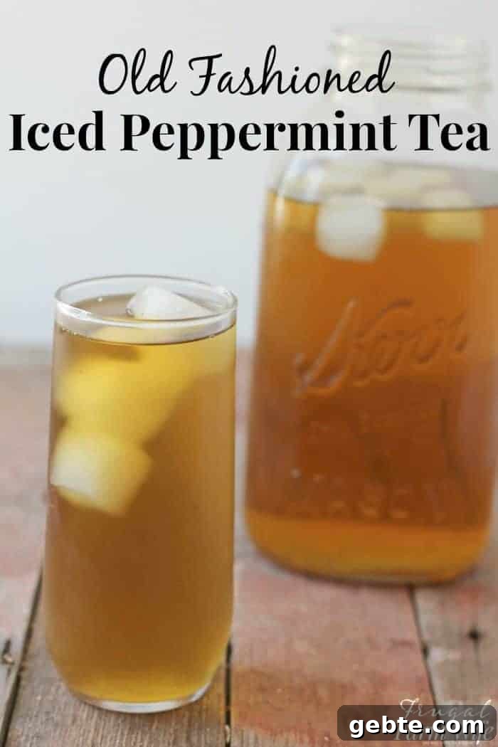 Refreshing Iced Peppermint Tea Recipe 3 img 622 2
