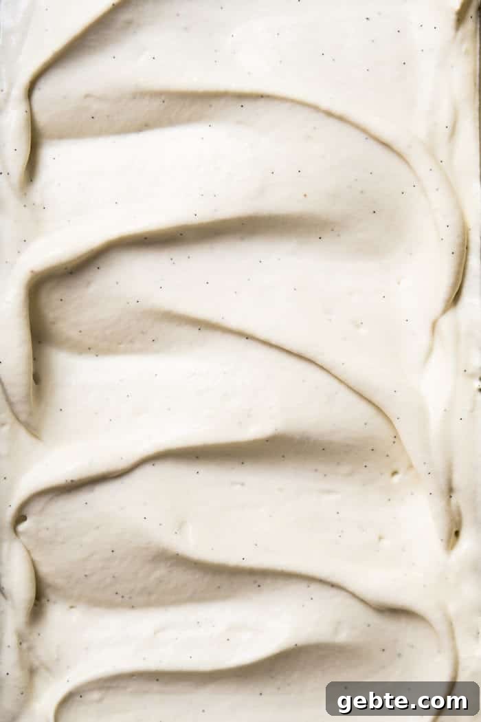 Closeup showing super creamy texture of the paleo frozen yogurt