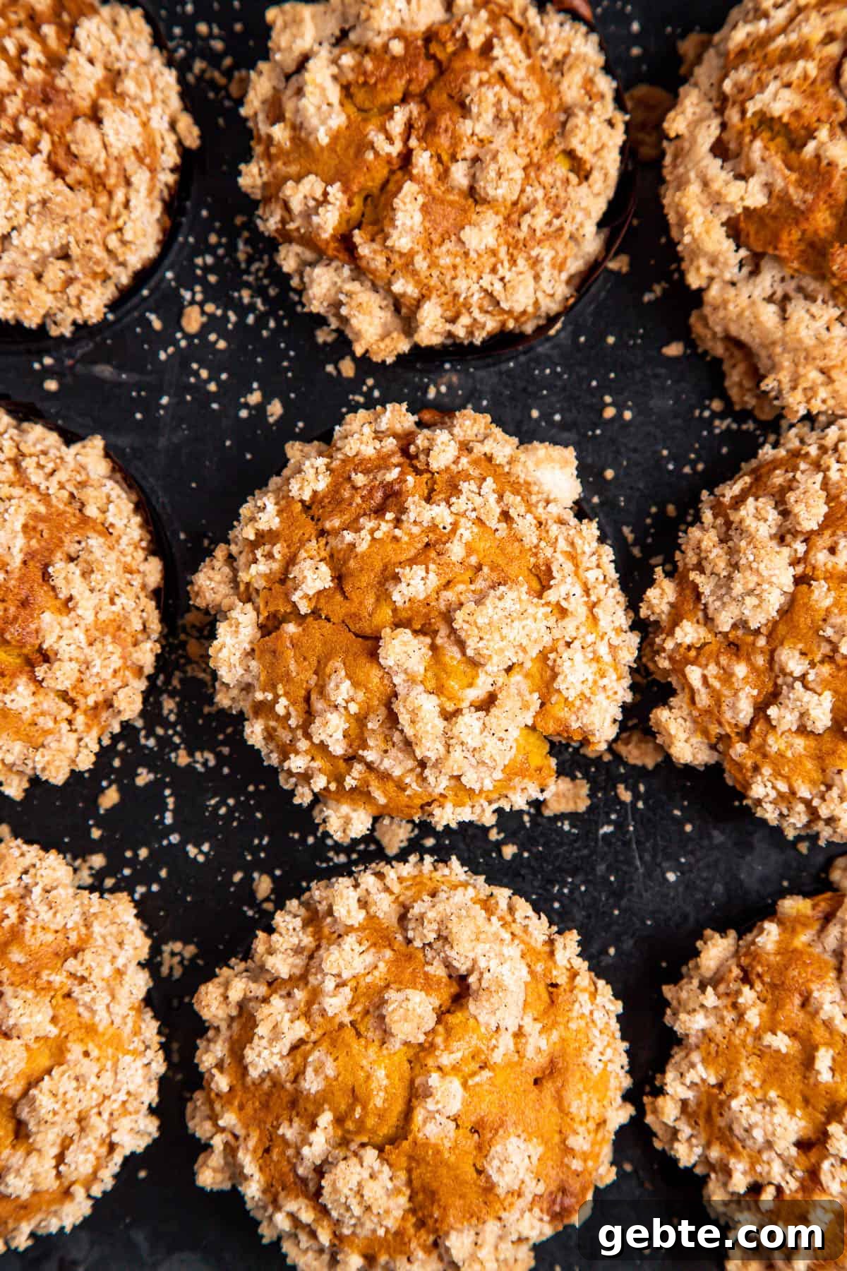 overhead shot of A baked pan of 12 pumpkin muffins