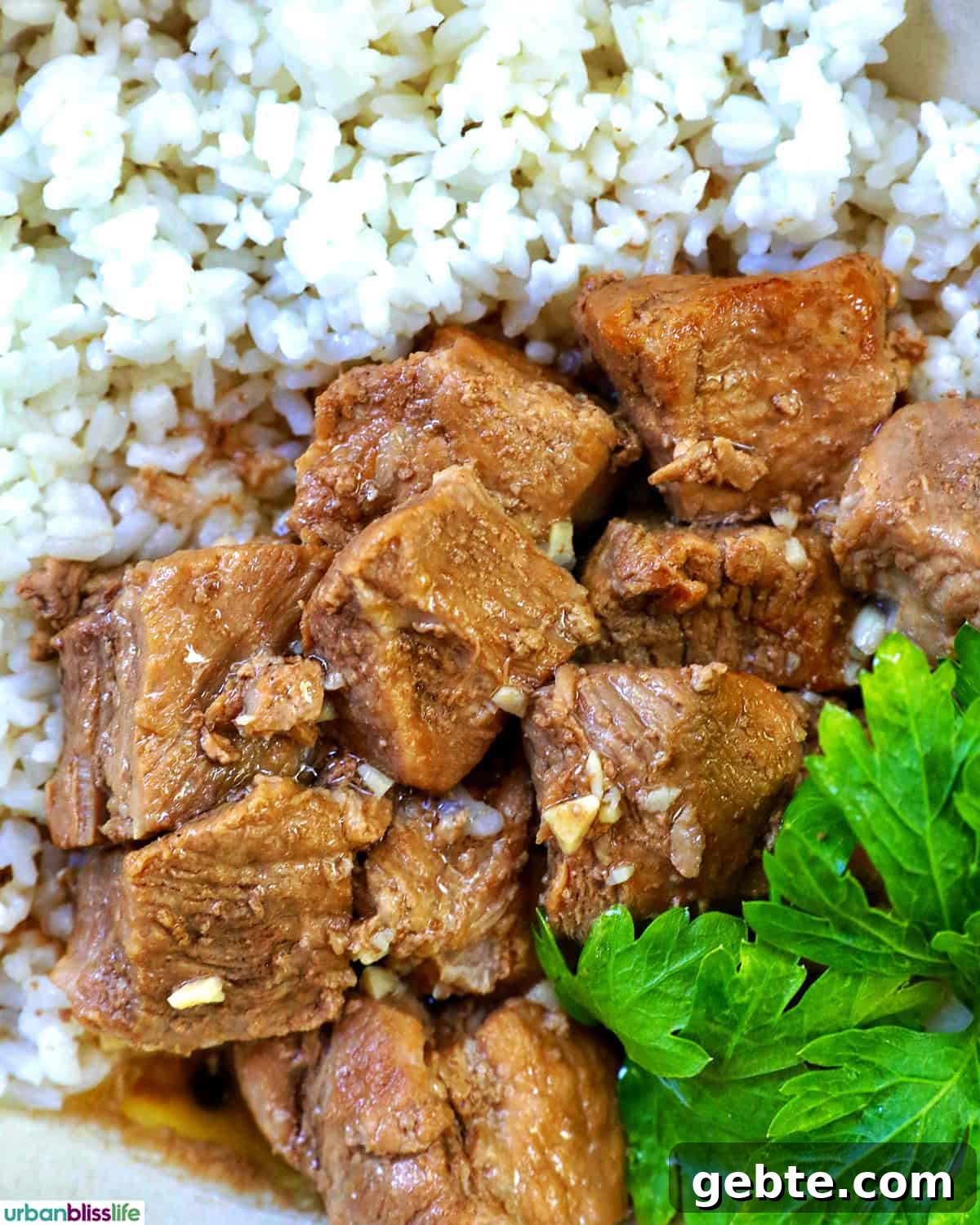 Filipino pork adobo with rice.