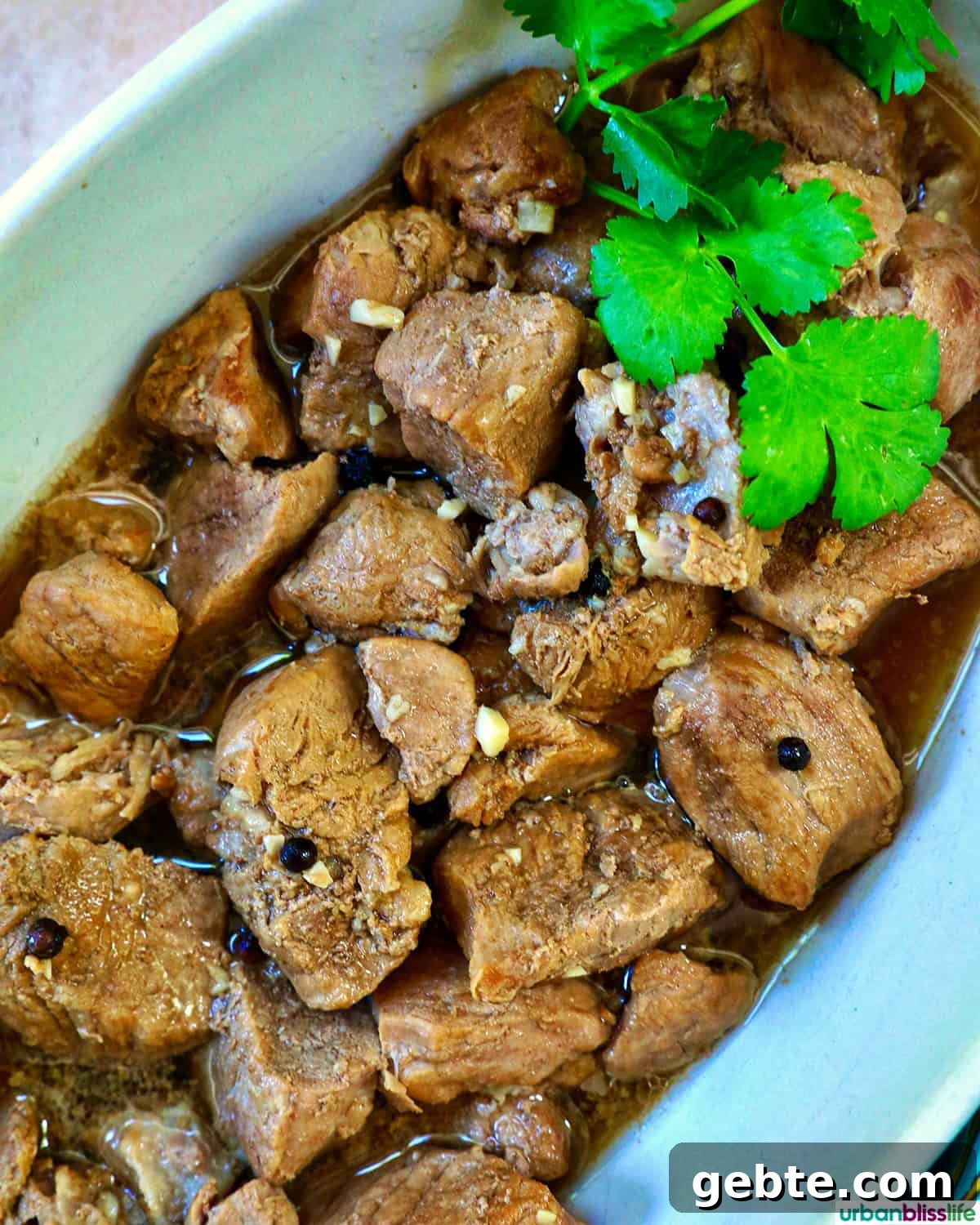 bowl of Filipino pork adobo.
