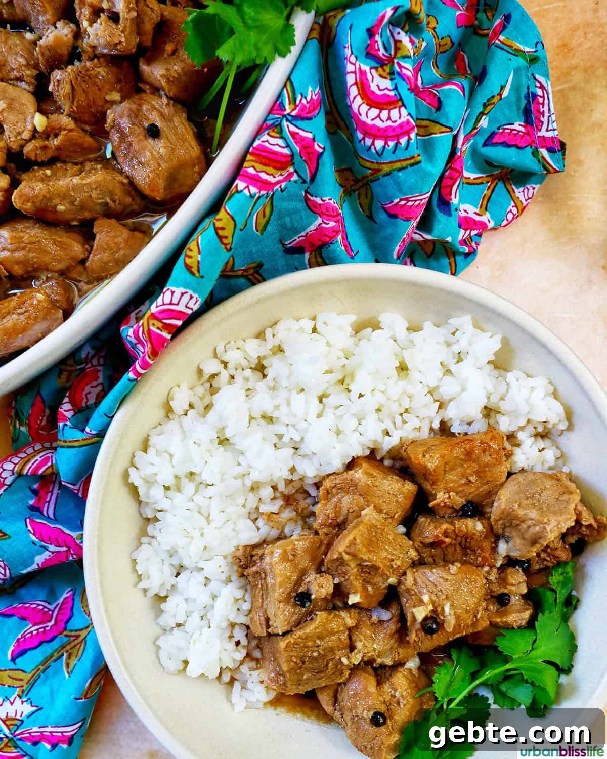 bowls of Filipino pork adobo with rice.
