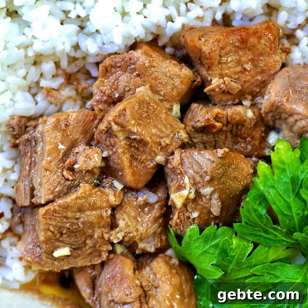 Filipino pork adobo with rice.
