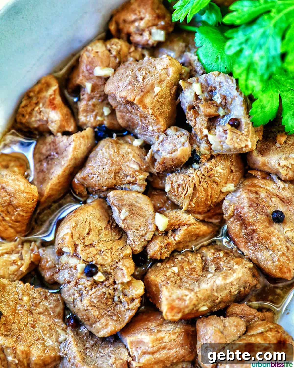 Filipino pork adobo.