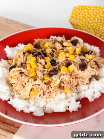 Tex-Mex chicken on a bed of rice.