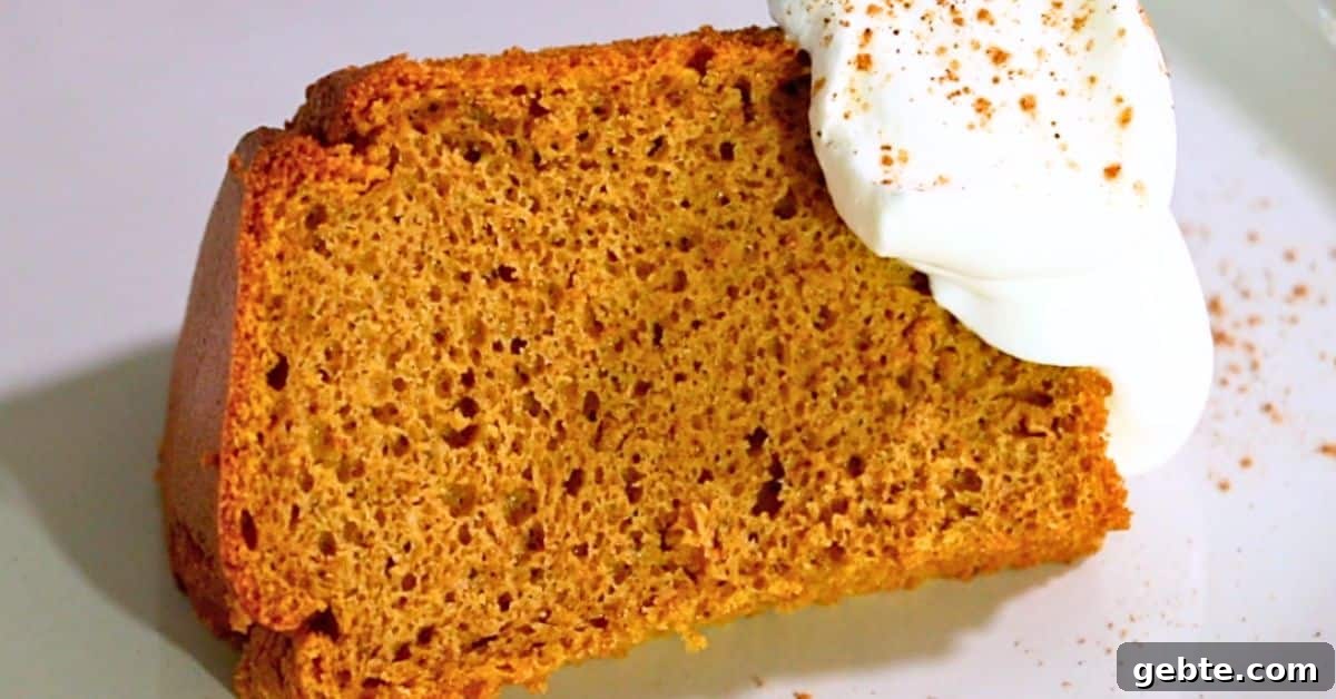 a slice of pumpkin chiffon cake with whipped cream