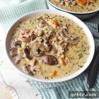 Comforting Chicken, Wild Rice & Mushroom Soup Recipe 4 Chicken and Wild Rice Soup