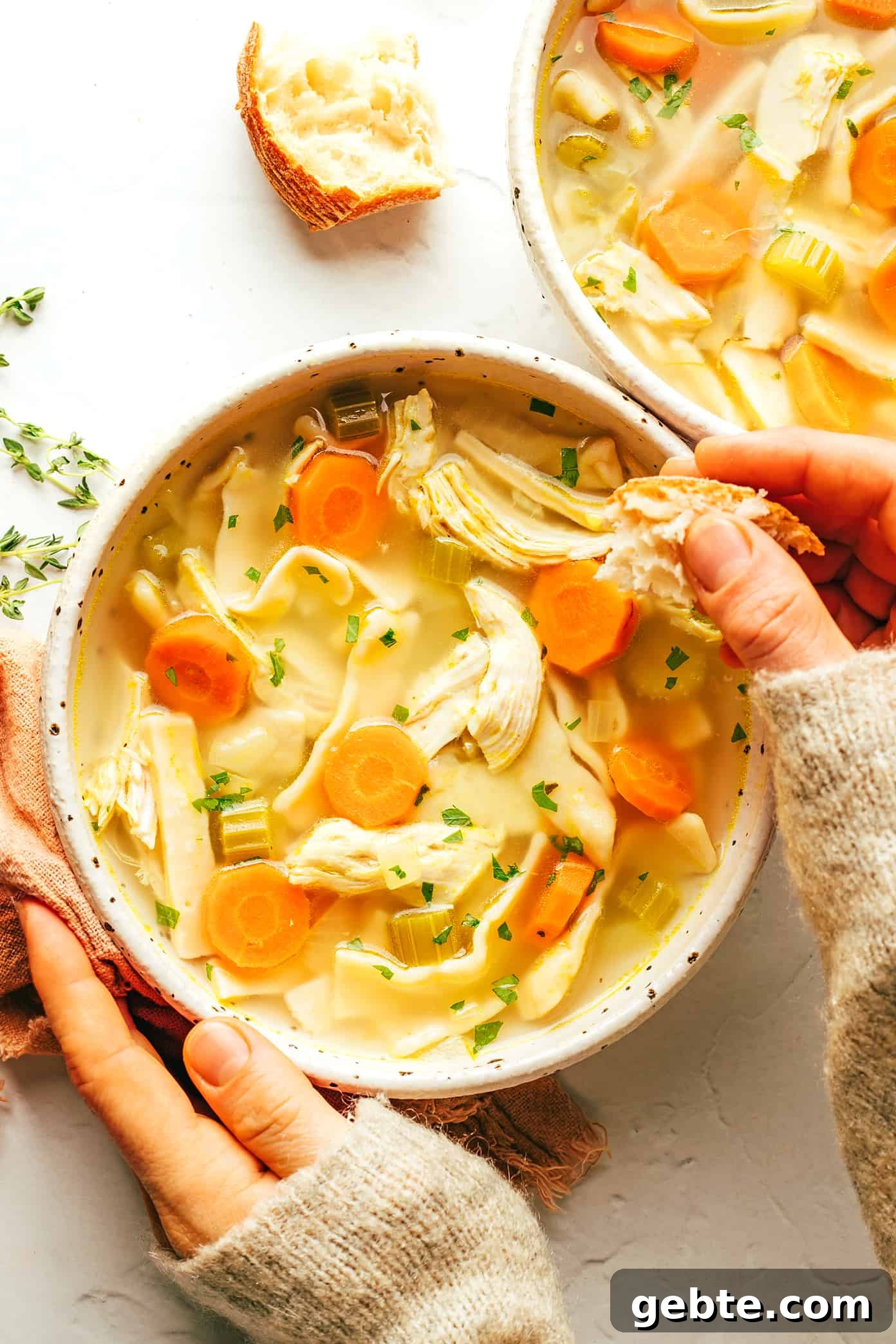 Homestyle Chicken Noodle Soup