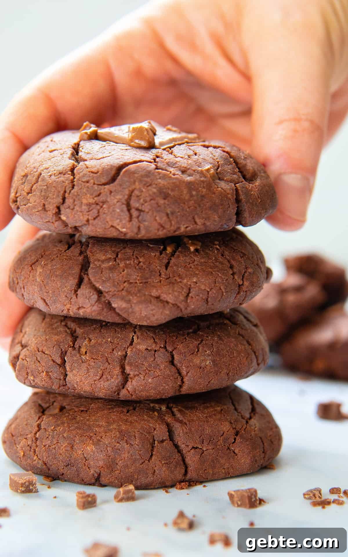 Hand holding Gluten Free Chocolate Cookie on top.