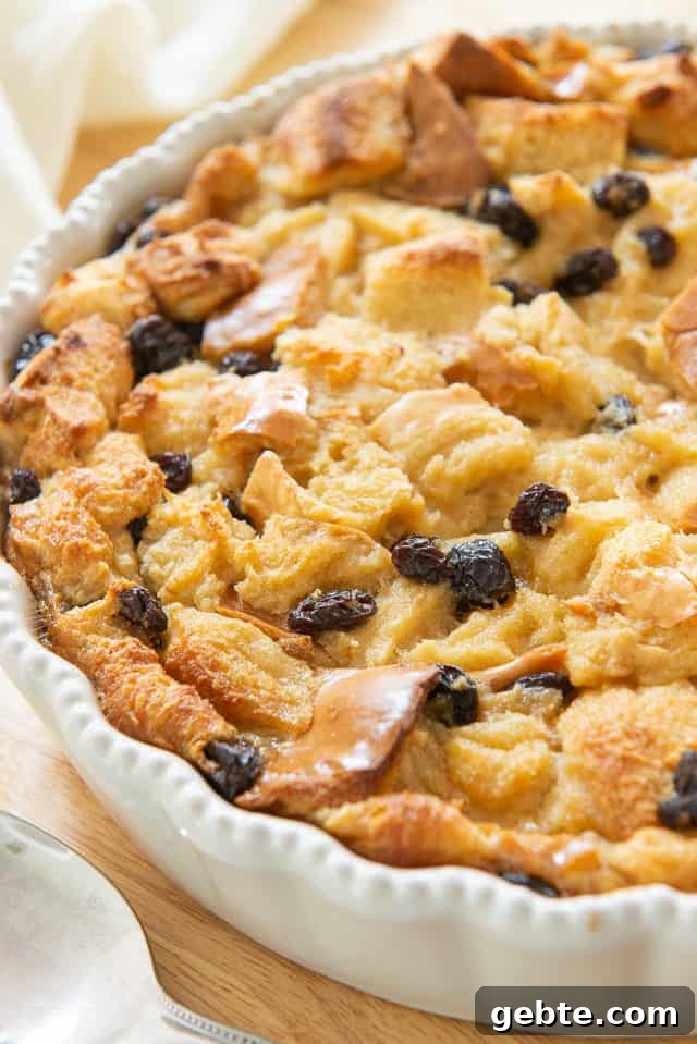 Bread Pudding - In a White Dish with Raisins