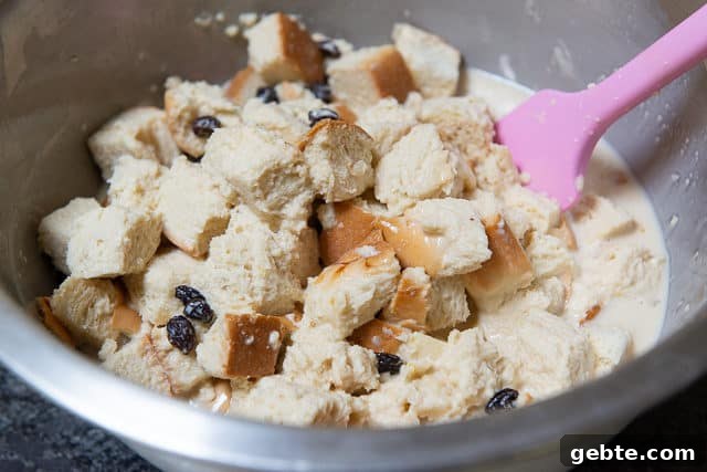Bread Cubes and Raisins Soaking in Custard showing How to Make Bread Pudding