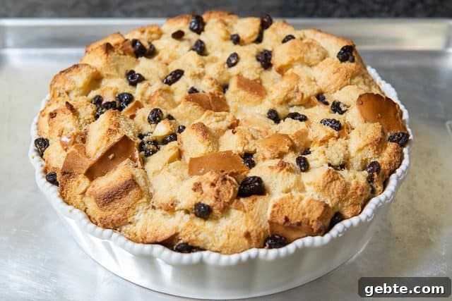 Fully Baked Bread Pudding in White Dish Puffed Up