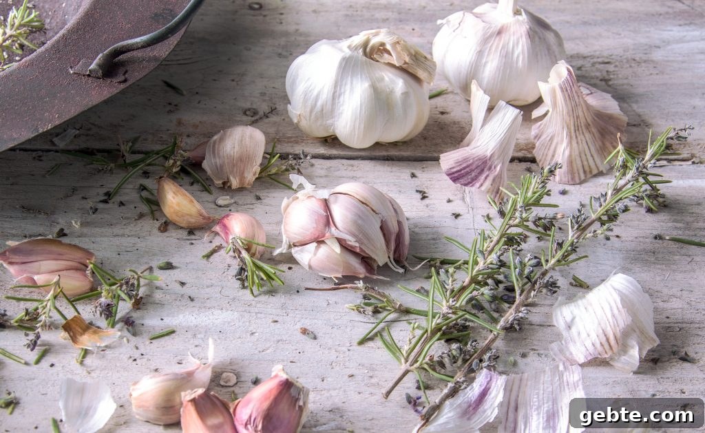 Garlic Natural Antibiotic