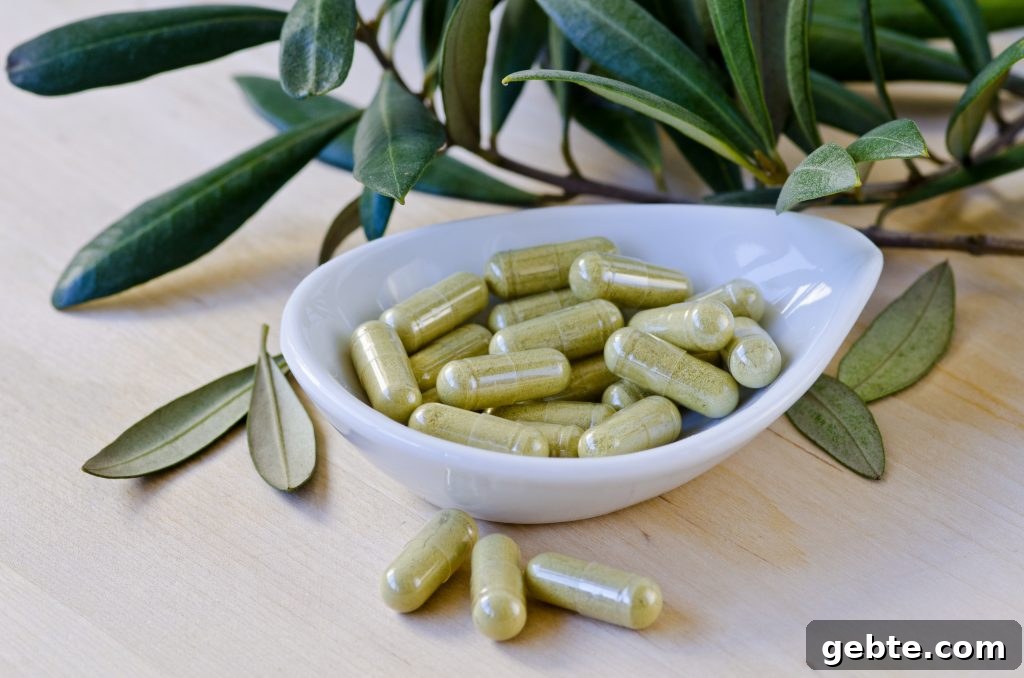 Olive Leaf Natural Antibiotic