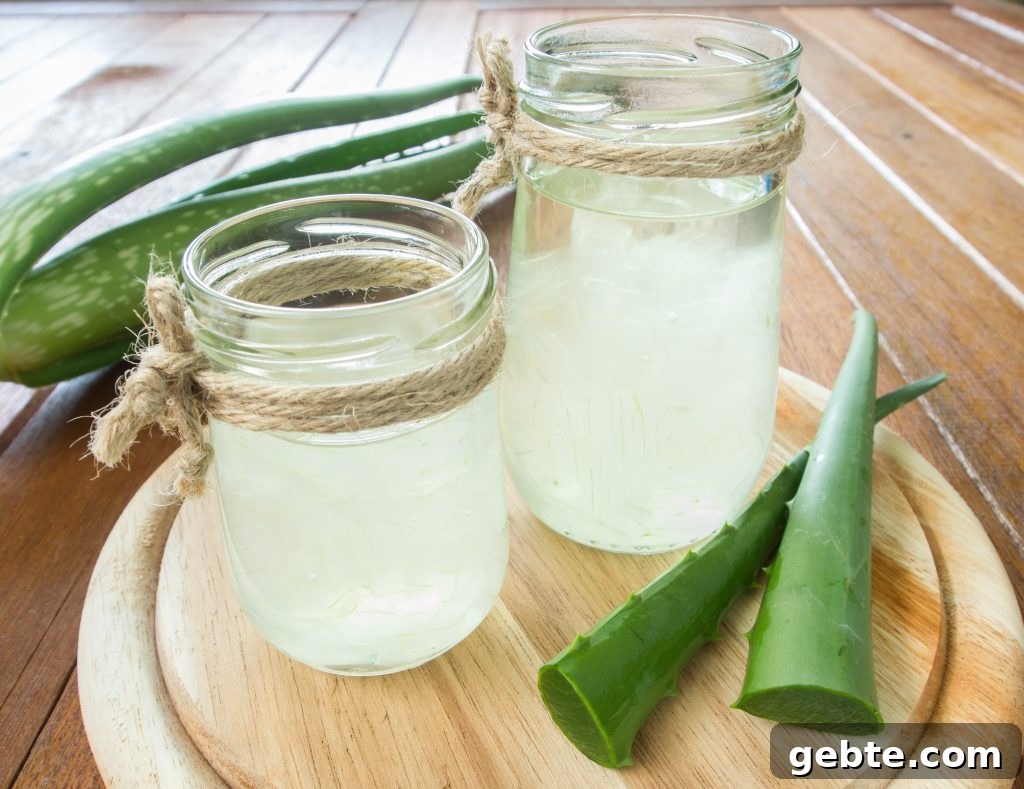 Aloe Juice Natural Antibiotic