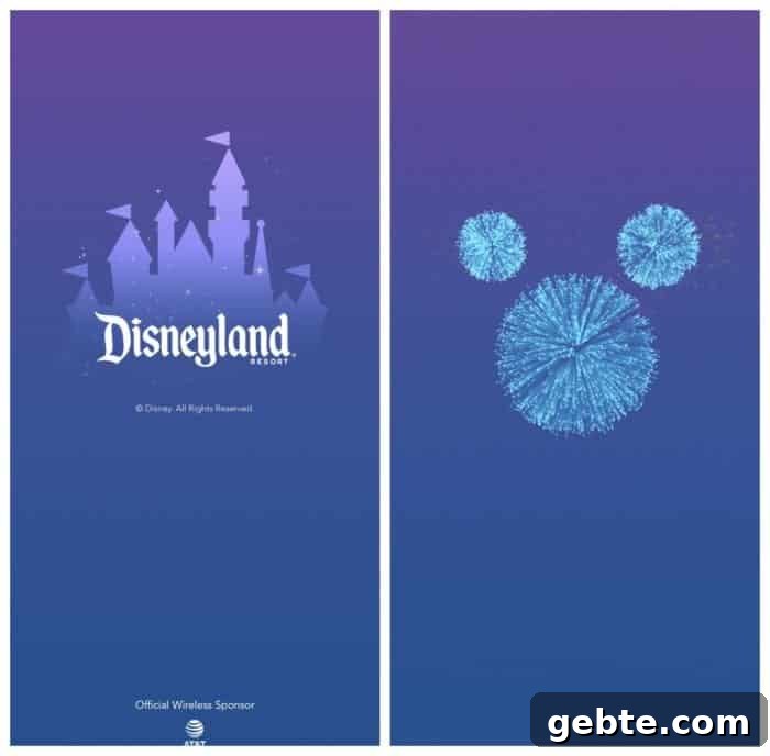 disneyland tips