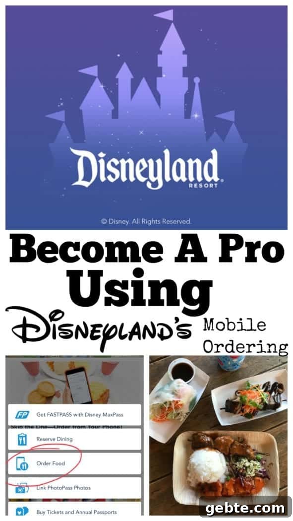 disneyland tips
